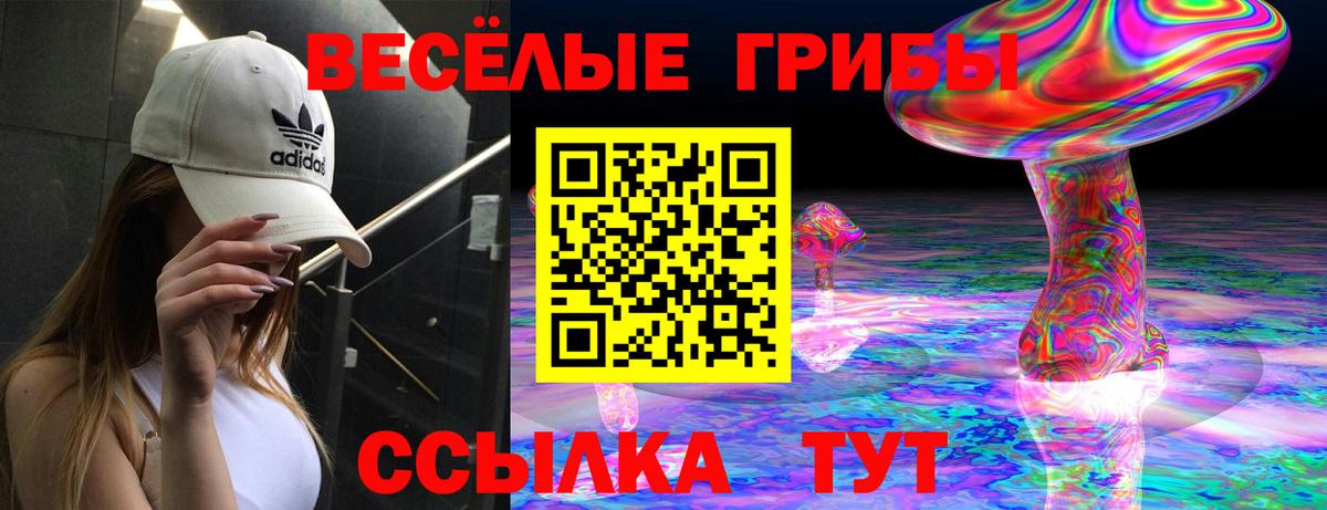 Галлюциногенные грибы Psilocybe Красногорск