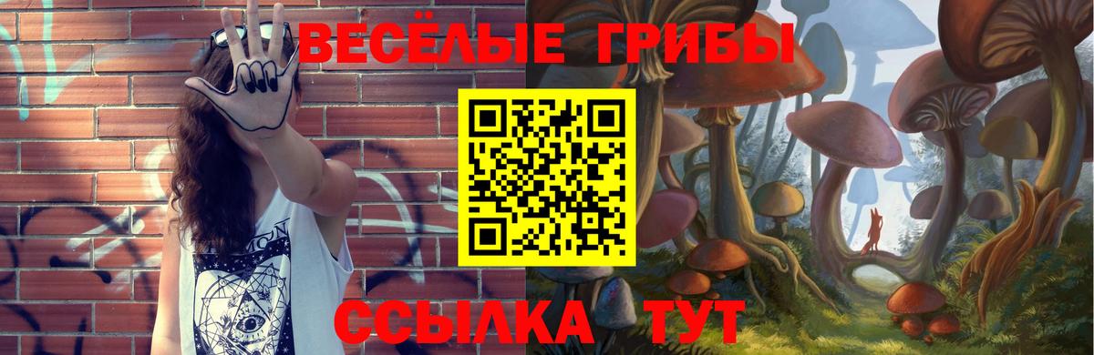 Псилоцибиновые грибы MAGIC MUSHROOMS  Псилоцибиновые грибы мицелий  Вход с VPN  Красногорск 